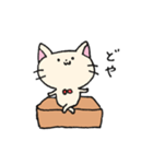 ダンボールネコ（個別スタンプ：19）
