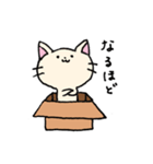 ダンボールネコ（個別スタンプ：20）