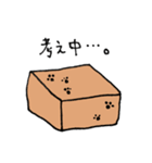 ダンボールネコ（個別スタンプ：24）