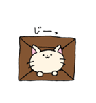 ダンボールネコ（個別スタンプ：27）