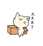 ダンボールネコ（個別スタンプ：28）