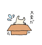 ダンボールネコ（個別スタンプ：31）