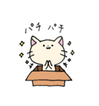 ダンボールネコ（個別スタンプ：33）