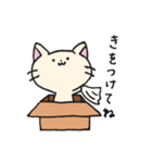 ダンボールネコ（個別スタンプ：37）