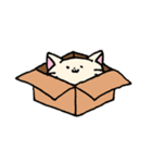 ダンボールネコ（個別スタンプ：40）