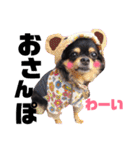 こうめちゃんのスタンプだよno2（個別スタンプ：2）