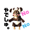 こうめちゃんのスタンプだよno2（個別スタンプ：10）