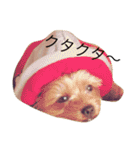 ころんとパンくんのおしゃべり①（個別スタンプ：2）