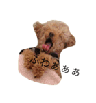 ころんとパンくんのおしゃべり①（個別スタンプ：14）