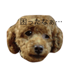 ころんとパンくんのおしゃべり①（個別スタンプ：30）