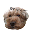 ころんとパンくんのおしゃべり①（個別スタンプ：33）