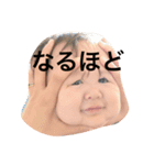りたまるくん（個別スタンプ：2）