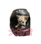 まなみねこ（個別スタンプ：4）