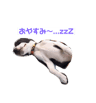 おんじゅ（個別スタンプ：3）