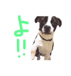 おんじゅ（個別スタンプ：5）