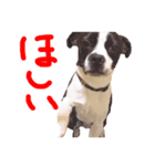 おんじゅ（個別スタンプ：7）