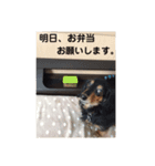 帰宅連絡（個別スタンプ：2）