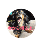 帰宅連絡（個別スタンプ：4）