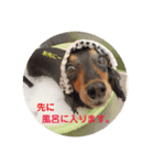 帰宅連絡（個別スタンプ：5）
