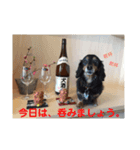 帰宅連絡（個別スタンプ：8）
