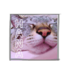 寝達磨な猫達…（個別スタンプ：7）