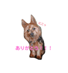 エルは私の友達だー（個別スタンプ：5）