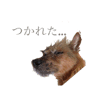 エルは私の友達だー（個別スタンプ：10）