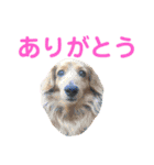 使いやすいビーツのスタンプ（個別スタンプ：4）