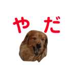 使いやすいビーツのスタンプ（個別スタンプ：7）