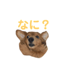 使いやすいビーツのスタンプ（個別スタンプ：17）