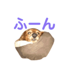 使いやすいビーツのスタンプ（個別スタンプ：21）