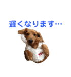 使いやすいビーツのスタンプ（個別スタンプ：27）