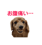 使いやすいビーツのスタンプ（個別スタンプ：32）