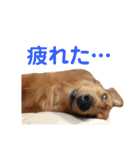 使いやすいビーツのスタンプ（個別スタンプ：34）