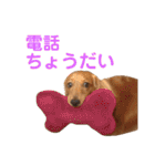 使いやすいビーツのスタンプ（個別スタンプ：35）