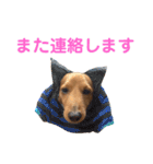 使いやすいビーツのスタンプ（個別スタンプ：36）