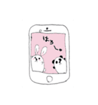 仲良しなぱんだとうさぎ（個別スタンプ：33）