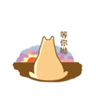 メタ猫（個別スタンプ：26）