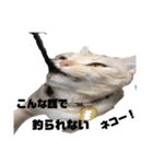 しいたけ猫の日常（個別スタンプ：23）