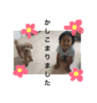 天パのりょうちゃん（個別スタンプ：5）