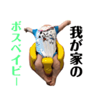 りーたんスタンプ2018（個別スタンプ：9）