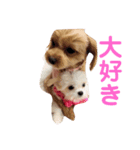石田さんち（個別スタンプ：3）