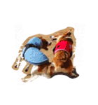 コーギーのレオンくん（個別スタンプ：30）