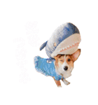 コーギーのレオンくん（個別スタンプ：32）
