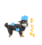 黒豆柴のとろろ（個別スタンプ：11）