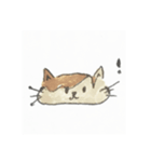 ぽんちゃんすたんぷ（個別スタンプ：2）