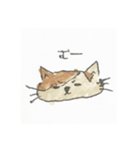 ぽんちゃんすたんぷ（個別スタンプ：3）