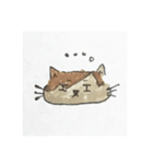 ぽんちゃんすたんぷ（個別スタンプ：5）