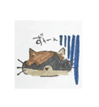 ぽんちゃんすたんぷ（個別スタンプ：6）