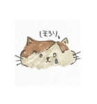 ぽんちゃんすたんぷ（個別スタンプ：10）